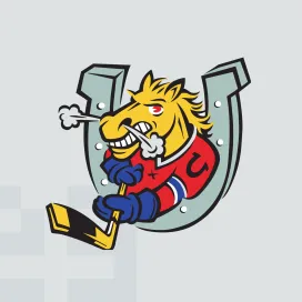 Barrie colts